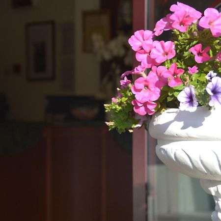 Hotel Bel Sogno Rimini Luaran gambar