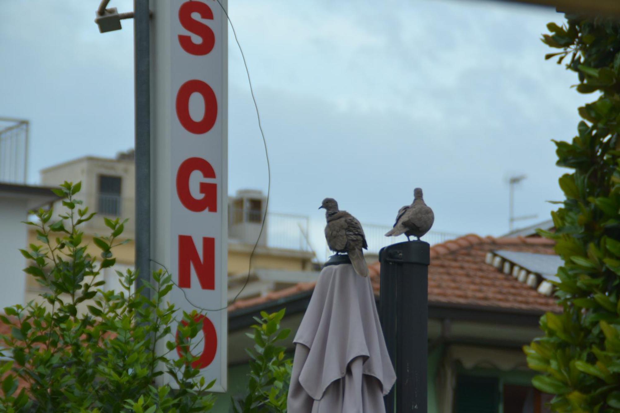 Hotel Bel Sogno Rimini Luaran gambar